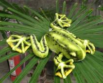 supply plush Frogs