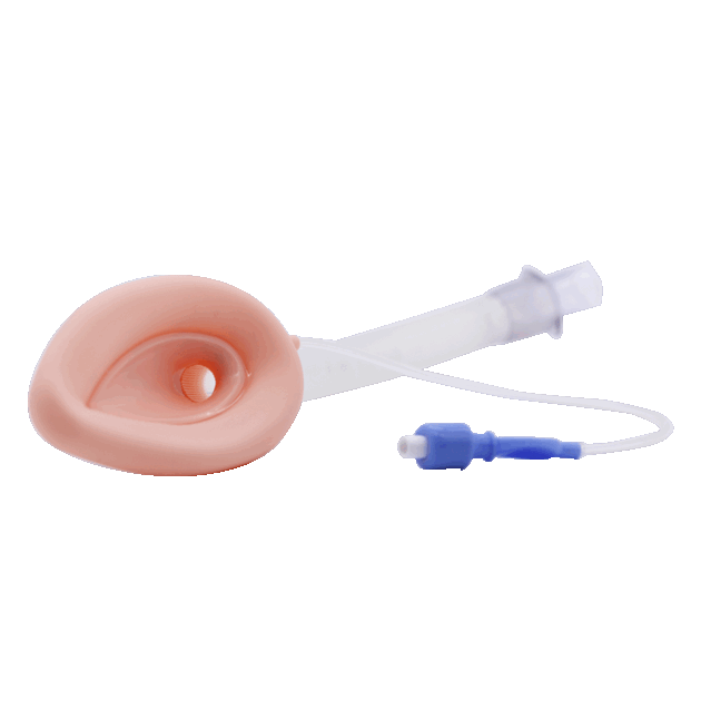 Reusable Laryngeal Mask Airway