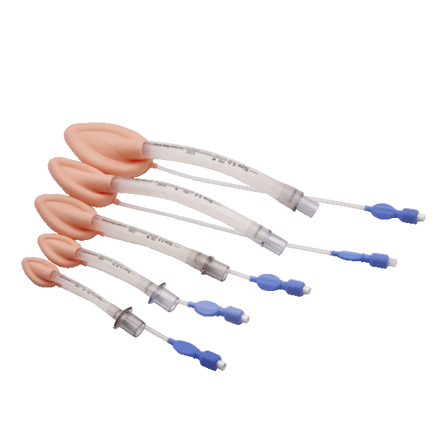 Reusable Laryngeal Mask Airway
