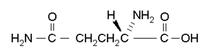 L-Glutamine