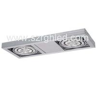 2*7W/2*14W Decoration LED drop light