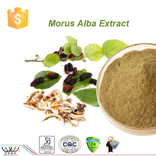 Mulberry Leaf Extract