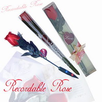 Romantic Recording Rose