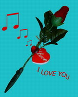 Romantic Recording Rose 01