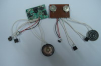 Sound Module