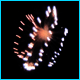 Display fireworks