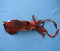 plush Cuttlefish