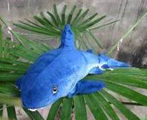 plush Sharks