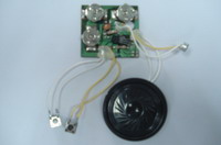 Sound/Music/Voice Module