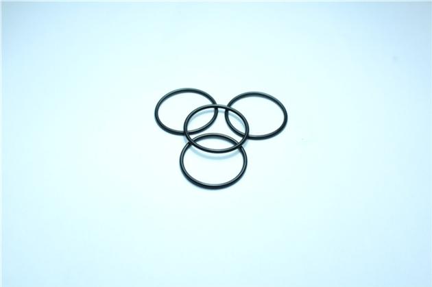 A52030 FUJI NXT Sealing RING O