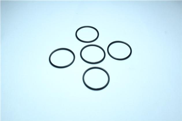 A52030 FUJI NXT Sealing RING O
