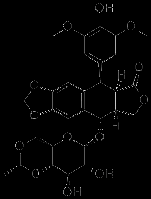 Etoposide and Intermediates