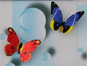 Supply Imitation Butterfly very beautiful