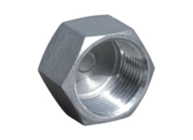 HEXAGON HEAD CAP  Stainless Steel Hexagon Plug wholesale