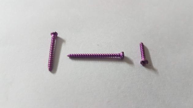 Locking Bolt Orthopedic Implant Titanium