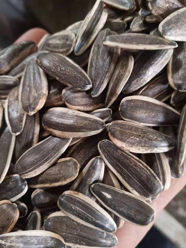 361   190-200 sunflower seeds 