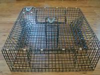 Crab Trap
