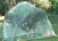 Fruit Cage Netting