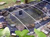 Pond Netting
