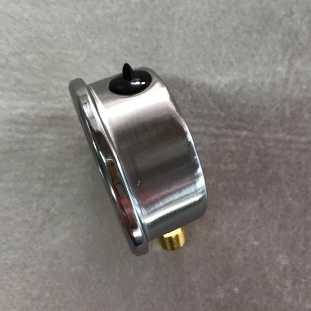 Single Needle Bottom Connection Pressure Gauge