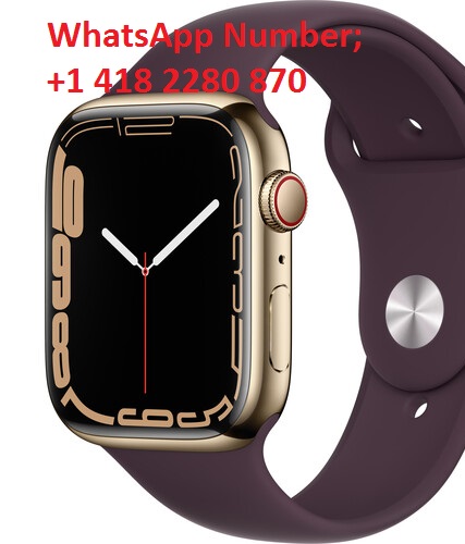 Apple Watch Series 7 (GPS + Cellular, 45mm, Gold Stainless Steel, Dark Cherry Sport Band)