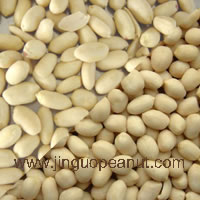 blanched peanuts kernels