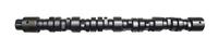 Cummins camshafts
