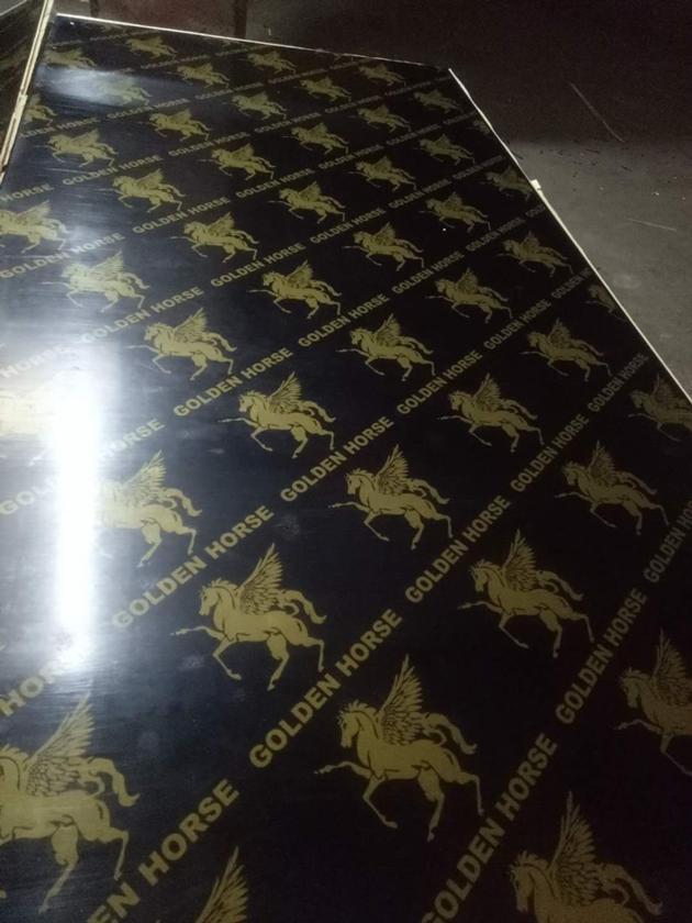 Finger Joint Film Faced Plywood China