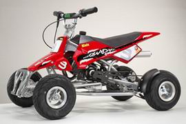 ATV/Quads/EEC ATV/Quad bikes/ATVS/Mini ATV/scooter