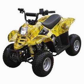 ATV/Quads/EEC ATV/Quad bikes/ATVS/Mini ATV/scooter