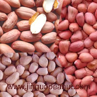 peanuts kernels