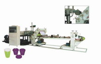 Two-Layer Plastic Sheet Extrusion Line