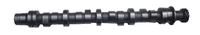Suzuki camshafts