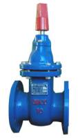 Z45T Cast Iron Gate Valve