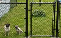 Chain Link Fence