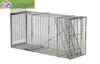 Wild Dog Traps