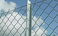 Galvanized Diamond Woven Wire Mesh