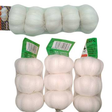 chinese garlic