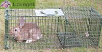 Rabbit Traps