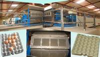 egg tray making machine
