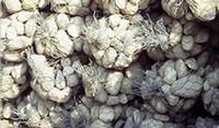 Gabion Sack