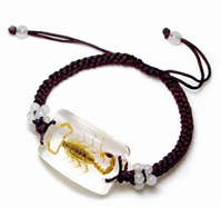 Supply Insect Amber Bracelets(Very unique)