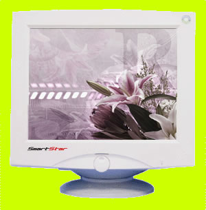 15''  CRT monitor