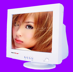 17'' CRT monitor