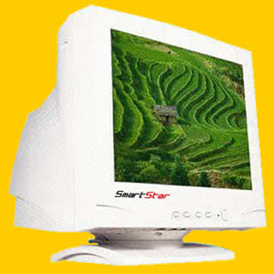 19''  CRT monitor