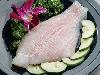 catfish fillet