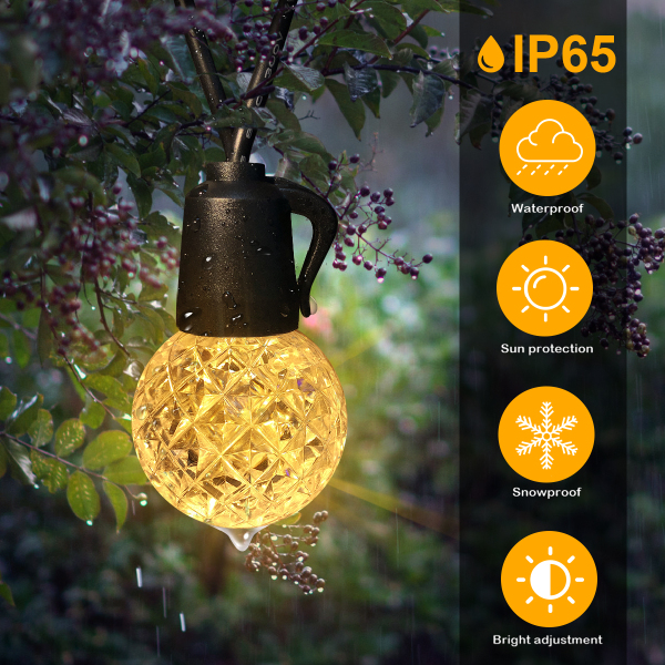 G40 Outdoor Warm White Crystal Bulb