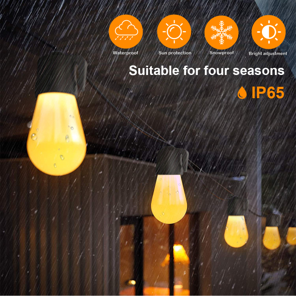 Bluetooth Warm White Bulb String Light