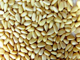 red pine nut kernels