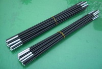 Ski Stick 